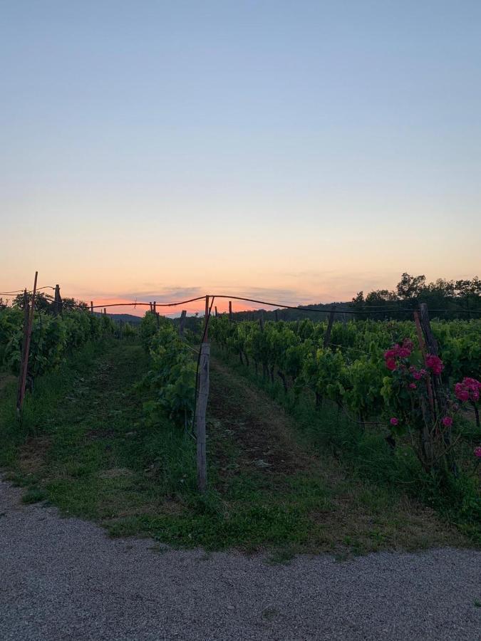 Cardo Boutique&Wine Resort Malchina Dış mekan fotoğraf