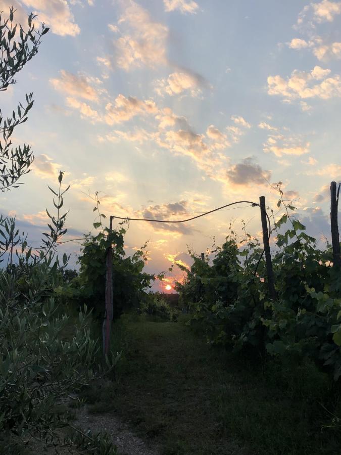 Cardo Boutique&Wine Resort Malchina Dış mekan fotoğraf