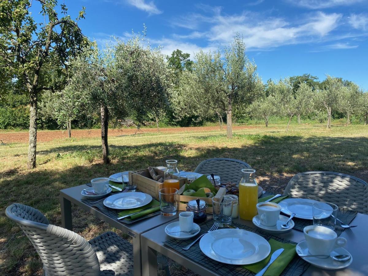 Cardo Boutique&Wine Resort Malchina Dış mekan fotoğraf