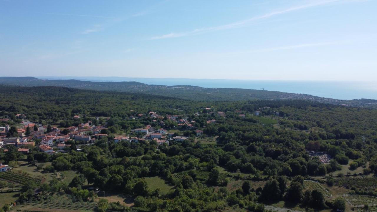 Cardo Boutique&Wine Resort Malchina Dış mekan fotoğraf