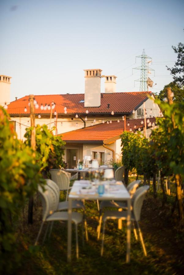Cardo Boutique&Wine Resort Malchina Dış mekan fotoğraf