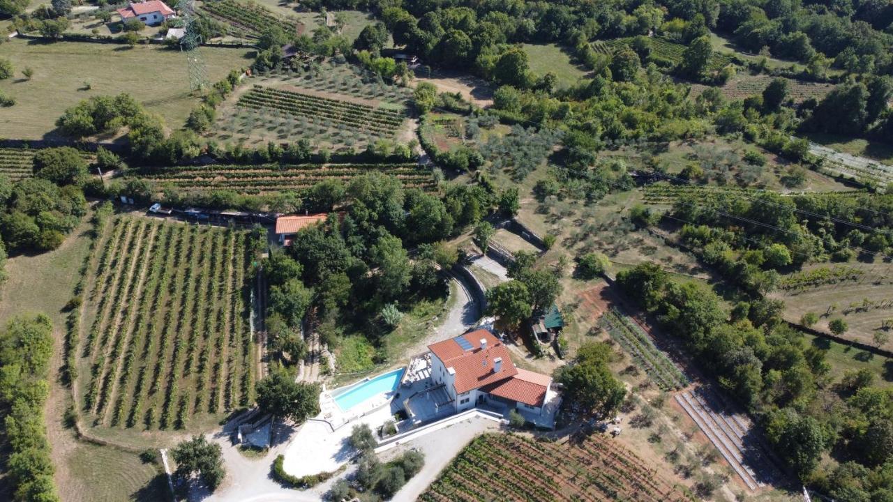 Cardo Boutique&Wine Resort Malchina Dış mekan fotoğraf